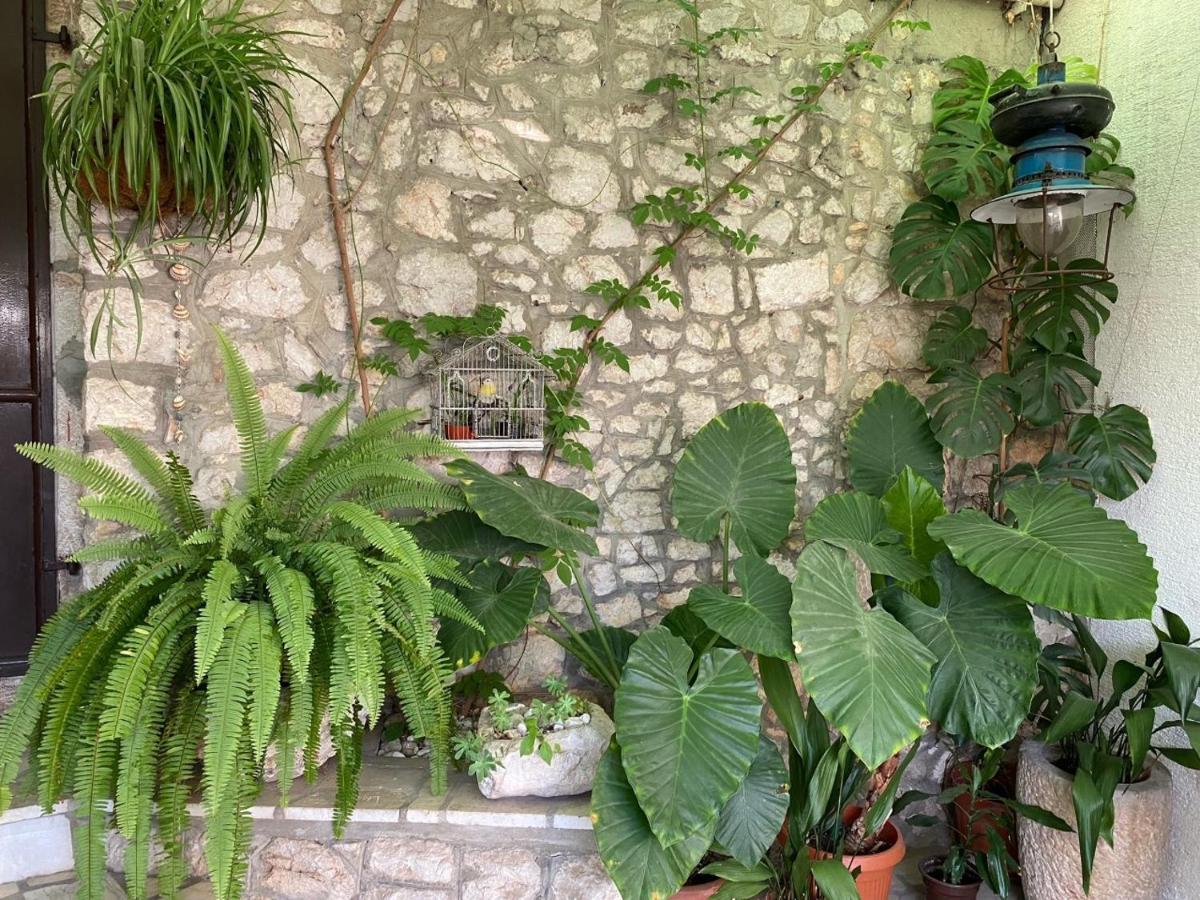 Holiday House Belavista โนวีวีโนดอลสกี ภายนอก รูปภาพ